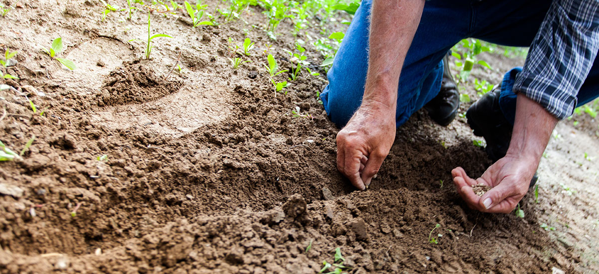 Pomal Beka Mandiri  - Blog Title 6