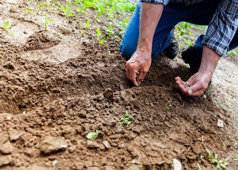 Pomal Beka Mandiri  - Blog Title 6