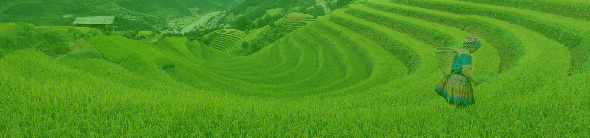 Pomal Beka Mandiri - Blog